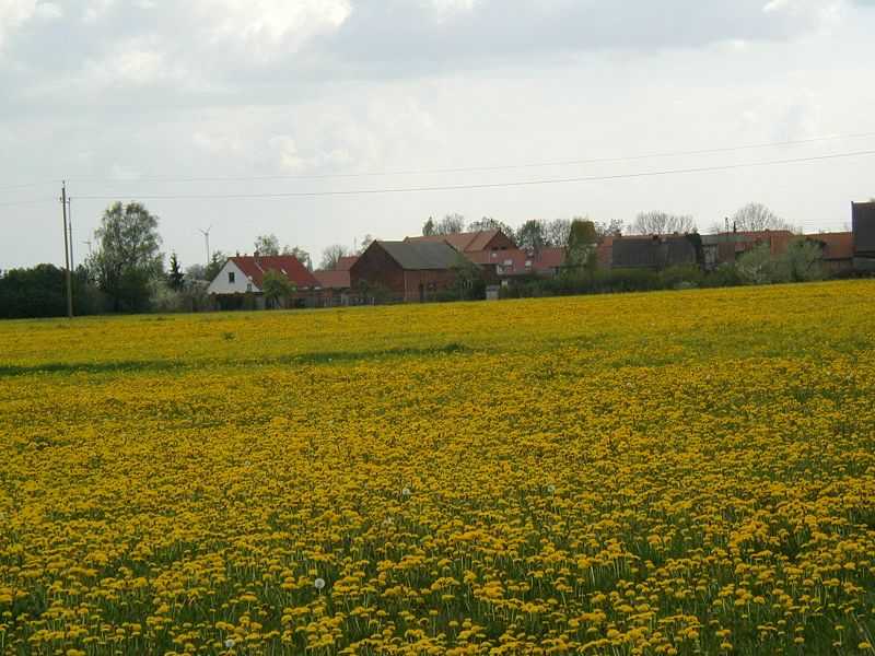 Frühlingsansicht